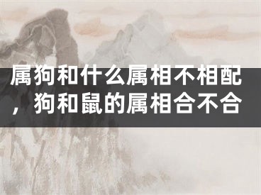 属狗和什么属相不相配,狗和鼠的属相合不合