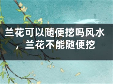 兰花可以随便挖吗风水，兰花不能随便挖