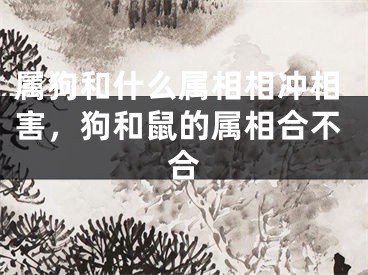 属狗和什么属相相冲相害，狗和鼠的属相合不合