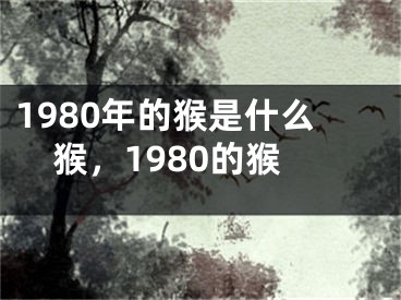 1980年的猴是什么猴,1980的猴