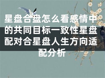 星盘合盘怎么看感情中的共同目标一致性星盘配对合星盘人生方向适配分析