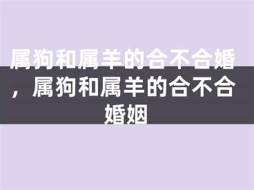 属狗和属羊的合不合婚,属狗和属羊的合不合婚姻