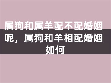 属狗和属羊配不配婚姻呢,属狗和羊相配婚姻如何