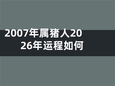 2007年属猪人2026年运程如何