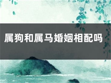 属狗和属马婚姻相配吗