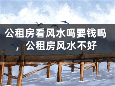 公租房看风水吗要钱吗,公租房风水不好