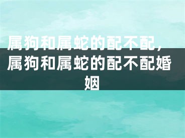属狗和属蛇的配不配,属狗和属蛇的配不配婚姻