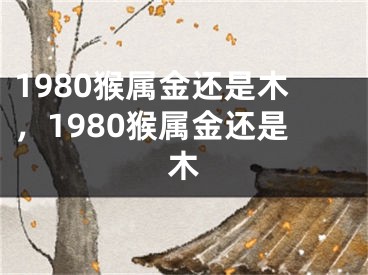 1980猴属金还是木，1980猴属金还是木