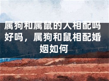 属狗和属鼠的人相配吗好吗,属狗和鼠相配婚姻如何