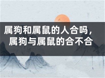 属狗和属鼠的人合吗,属狗与属鼠的合不合