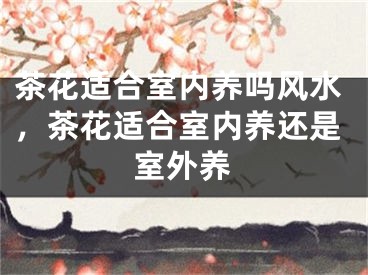 茶花适合室内养吗风水，茶花适合室内养还是室外养
