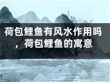 荷包鲤鱼有风水作用吗,荷包鲤鱼的寓意