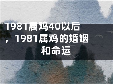 1981属鸡40以后，1981属鸡的婚姻和命运