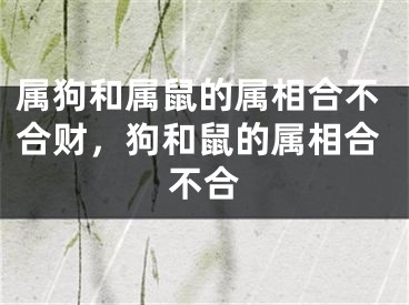 属狗和属鼠的属相合不合财，狗和鼠的属相合不合