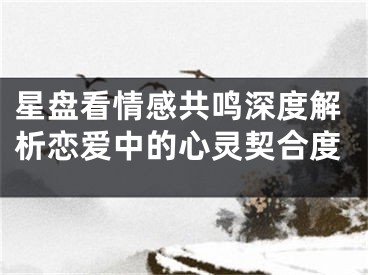 星盘看情感共鸣深度解析恋爱中的心灵契合度