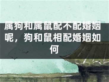 属狗和属鼠配不配婚姻呢，狗和鼠相配婚姻如何
