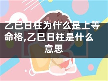 乙巳日柱为什么是上等命格,乙巳日柱是什么意思