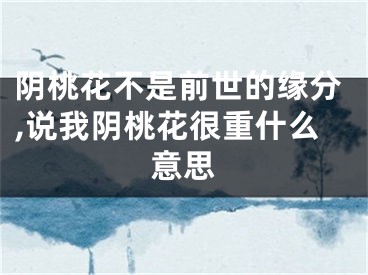 阴桃花不是前世的缘分,说我阴桃花很重什么意思