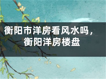 衡阳市洋房看风水吗，衡阳洋房楼盘