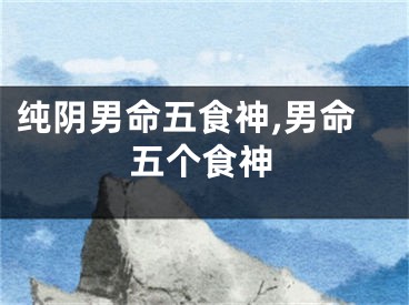纯阴男命五食神,男命五个食神