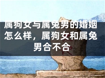属狗女与属兔男的婚姻怎么样,属狗女和属兔男合不合