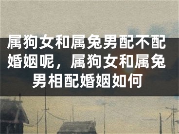 属狗女和属兔男配不配婚姻呢，属狗女和属兔男相配婚姻如何