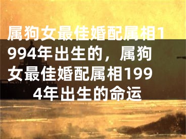 属狗女最佳婚配属相1994年出生的,属狗女最佳婚配属相1994年出生的命运