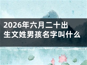 2026年六月二十出生文姓男孩名字叫什么