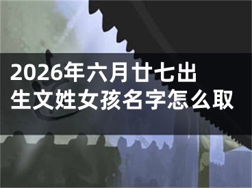2026年六月廿七出生文姓女孩名字怎么取
