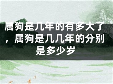 属狗是几年的有多大了,属狗是几几年的分别是多少岁