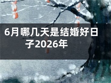 6月哪几天是结婚好日子2026年