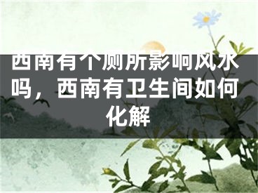 西南有个厕所影响风水吗，西南有卫生间如何化解