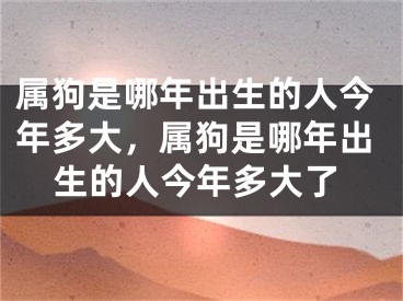 属狗是哪年出生的人今年多大，属狗是哪年出生的人今年多大了