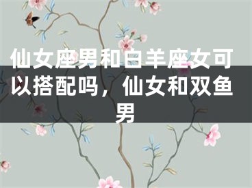 仙女座男和白羊座女可以搭配吗，仙女和双鱼男