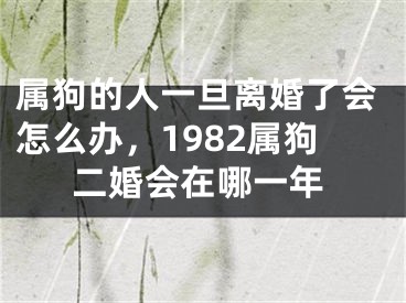 属狗的人一旦离婚了会怎么办，1982属狗二婚会在哪一年