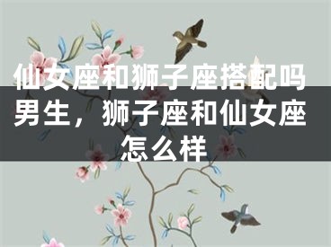 仙女座和狮子座搭配吗男生，狮子座和仙女座怎么样