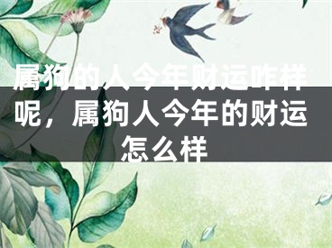 属狗的人今年财运咋样呢，属狗人今年的财运怎么样