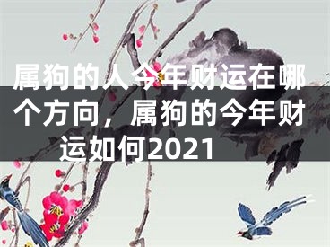 属狗的人今年财运在哪个方向，属狗的今年财运如何2021