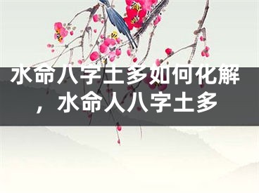 水命八字土多如何化解,水命人八字土多