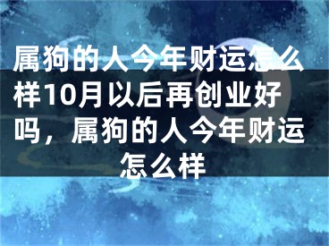 属狗的人今年财运怎么样10月以后再创业好吗，属狗的人今年财运怎么样