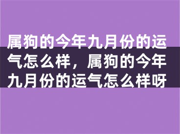 属狗的今年九月份的运气怎么样,属狗的今年九月份的运气怎么样呀
