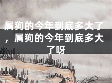属狗的今年到底多大了,属狗的今年到底多大了呀