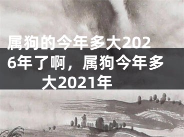 属狗的今年多大2026年了啊,属狗今年多大2021年