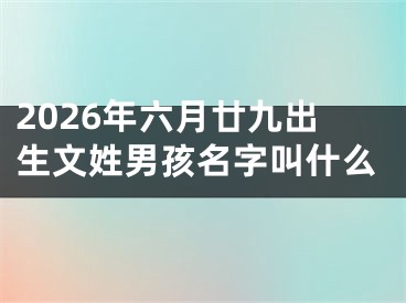 2026年六月廿九出生文姓男孩名字叫什么