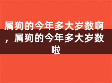 属狗的今年多大岁数啊,属狗的今年多大岁数啦
