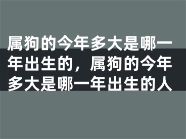 属狗的今年多大是哪一年出生的，属狗的今年多大是哪一年出生的人