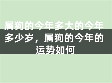 属狗的今年多大的今年多少岁,属狗的今年的运势如何