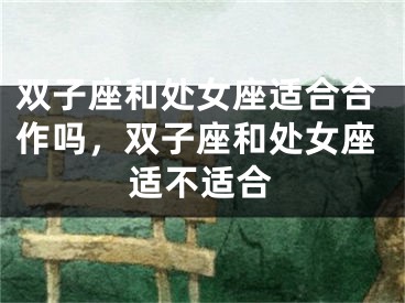 双子座和处女座适合合作吗，双子座和处女座适不适合