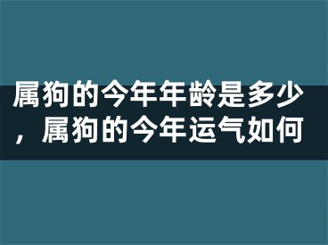 属狗的今年年龄是多少,属狗的今年运气如何