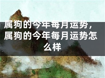 属狗的今年每月运势，属狗的今年每月运势怎么样